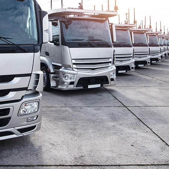 Transporte